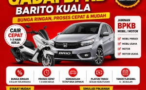 Pinjaman Dana Jaminan BPKB Barito Kuala Cepat Cair, Proses Mudah dan Bunga Ringan
